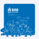 Teaser afbeelding van de BAB Kortrijk branding case